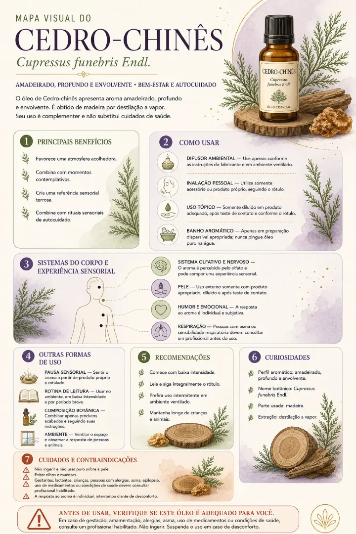 Prévia 2 do produto